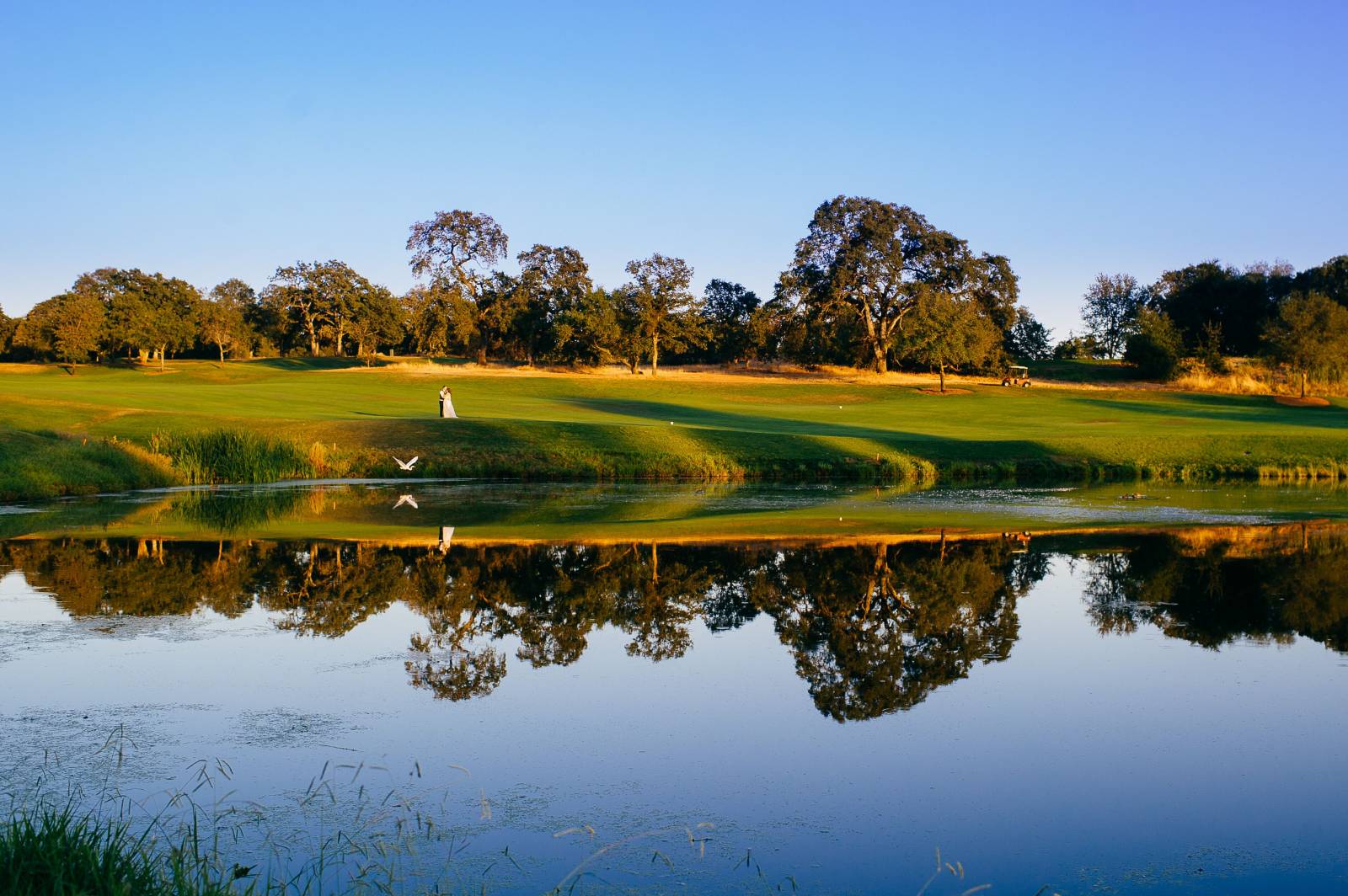 Organiser un évènement autour du golf avec un professionnel a Paris